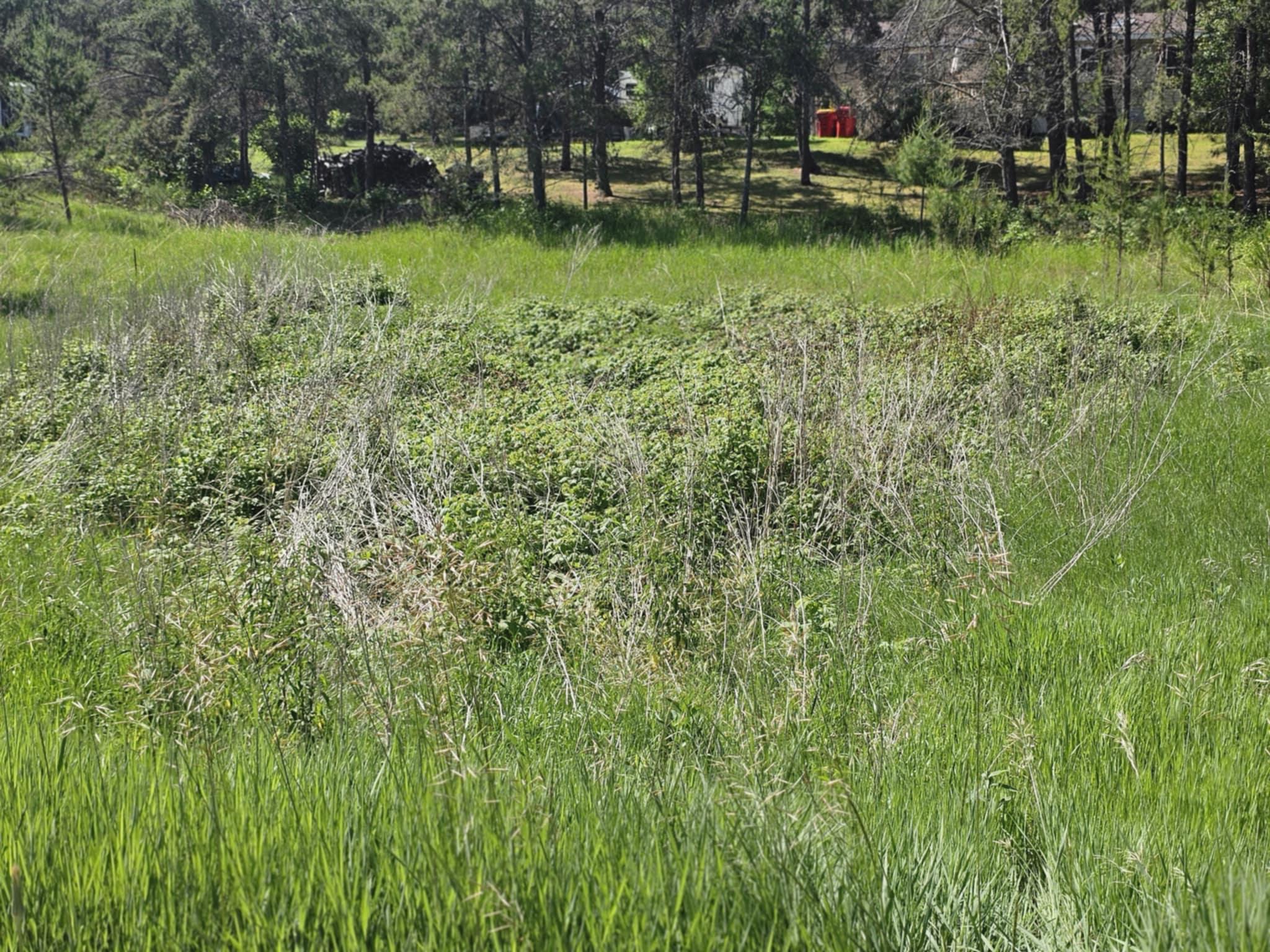 land for sale at tbd 1st Ave in Breezy Point, MN (photo 5 of 7)