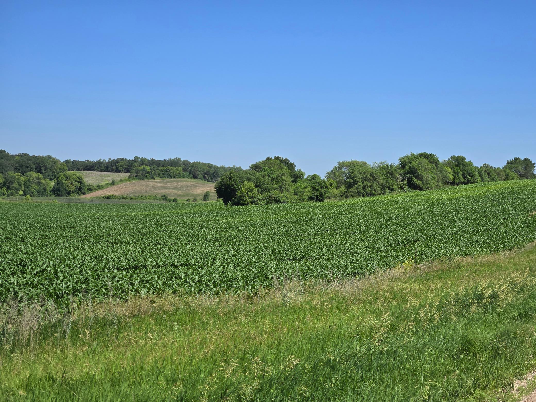 land for sale at TBD County Hwy 83 in Battle Lake, MN
