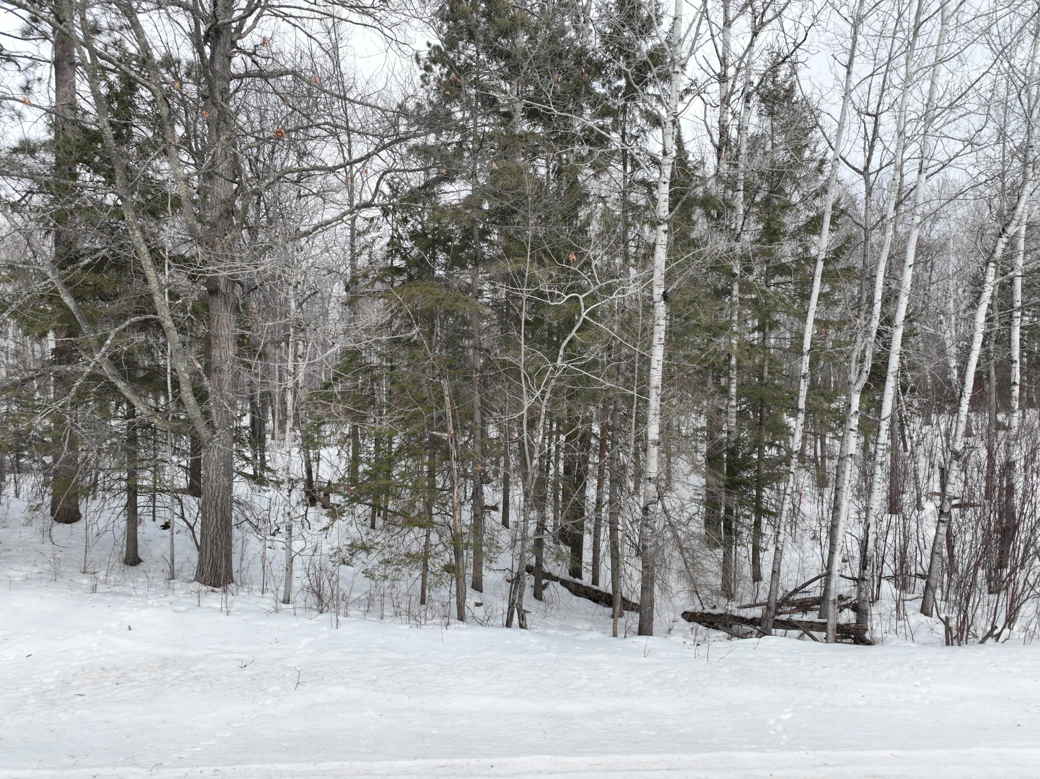 TBD-3 Christmas Point Road NW, Walker MN 56484 - Photo 11 of 12