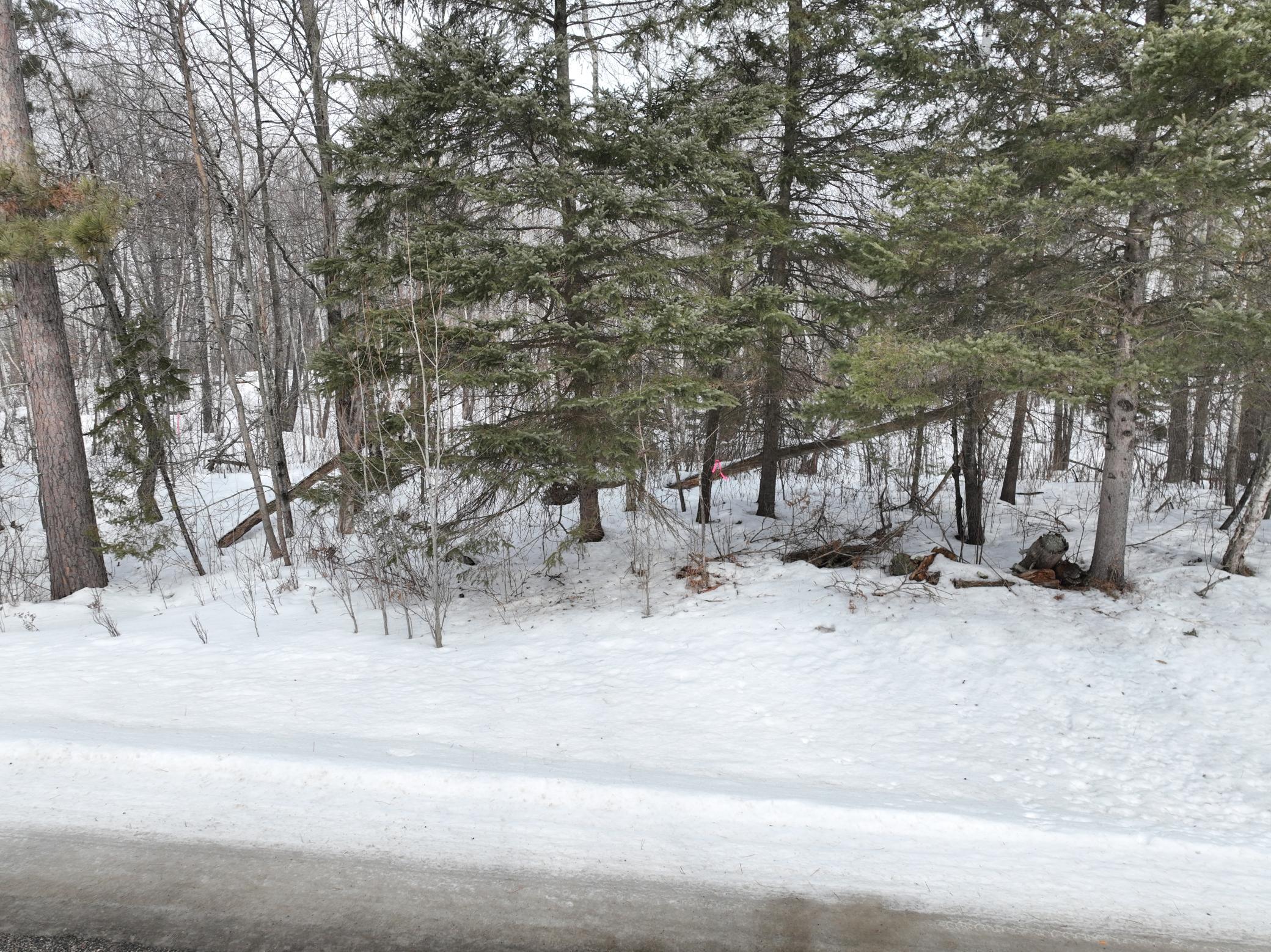 TBD-3 Christmas Point Road NW, Walker MN 56484 - Photo 12 of 12