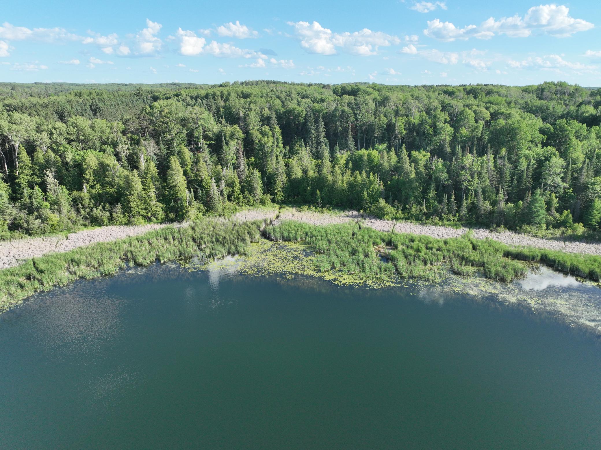 TBD-3 Christmas Point Road NW, Walker MN 56484 - Photo 5 of 12