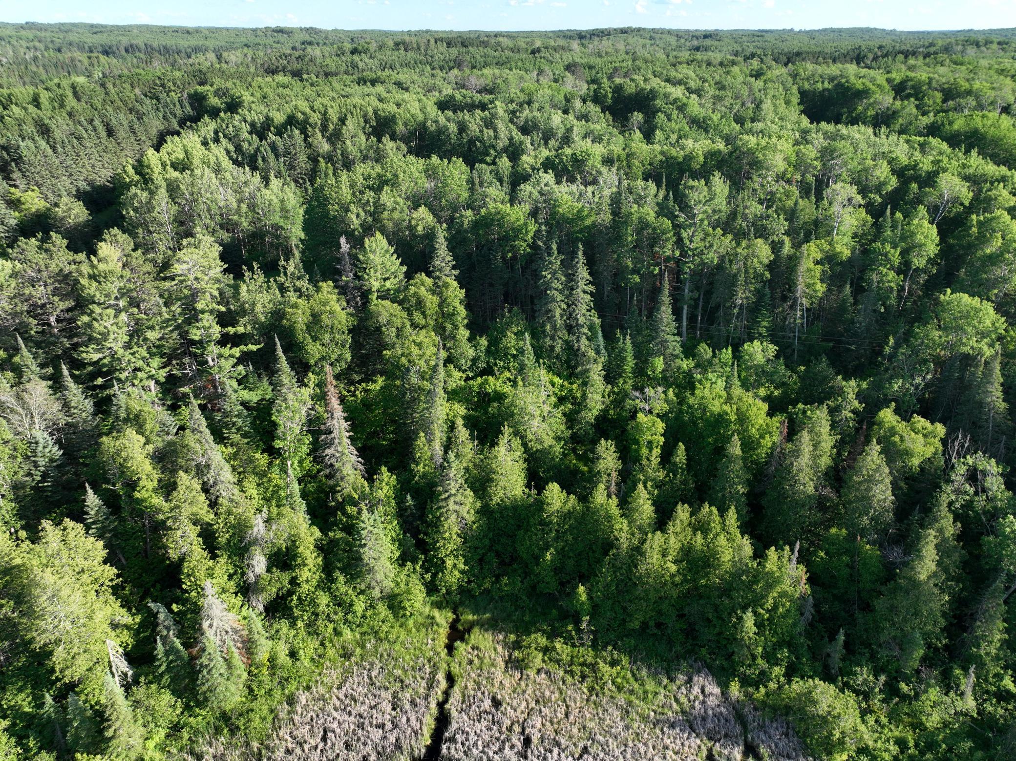 TBD-3 Christmas Point Road NW, Walker MN 56484 - Photo 6 of 12