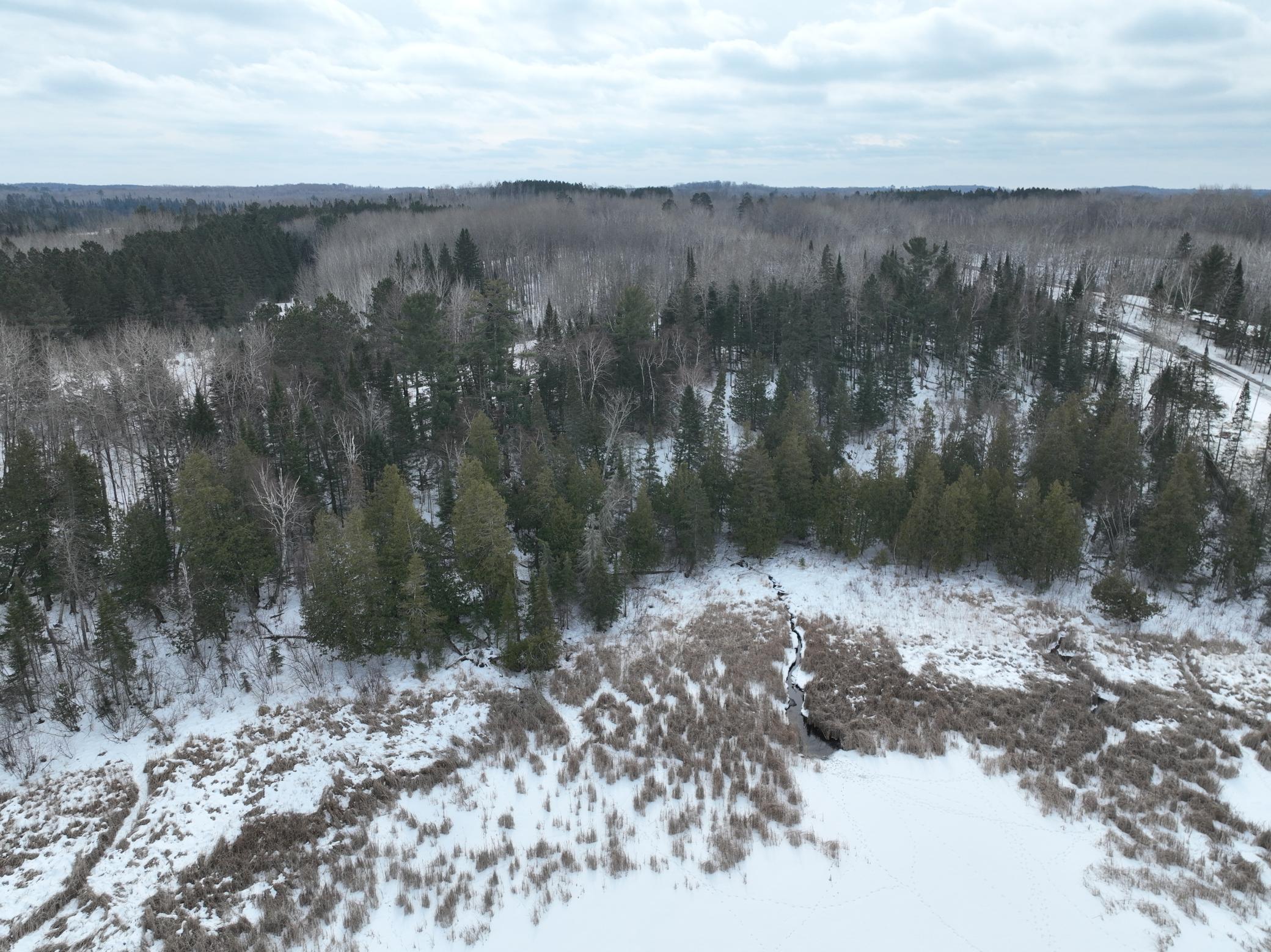 TBD-3 Christmas Point Road NW, Walker MN 56484 - Photo 10 of 12