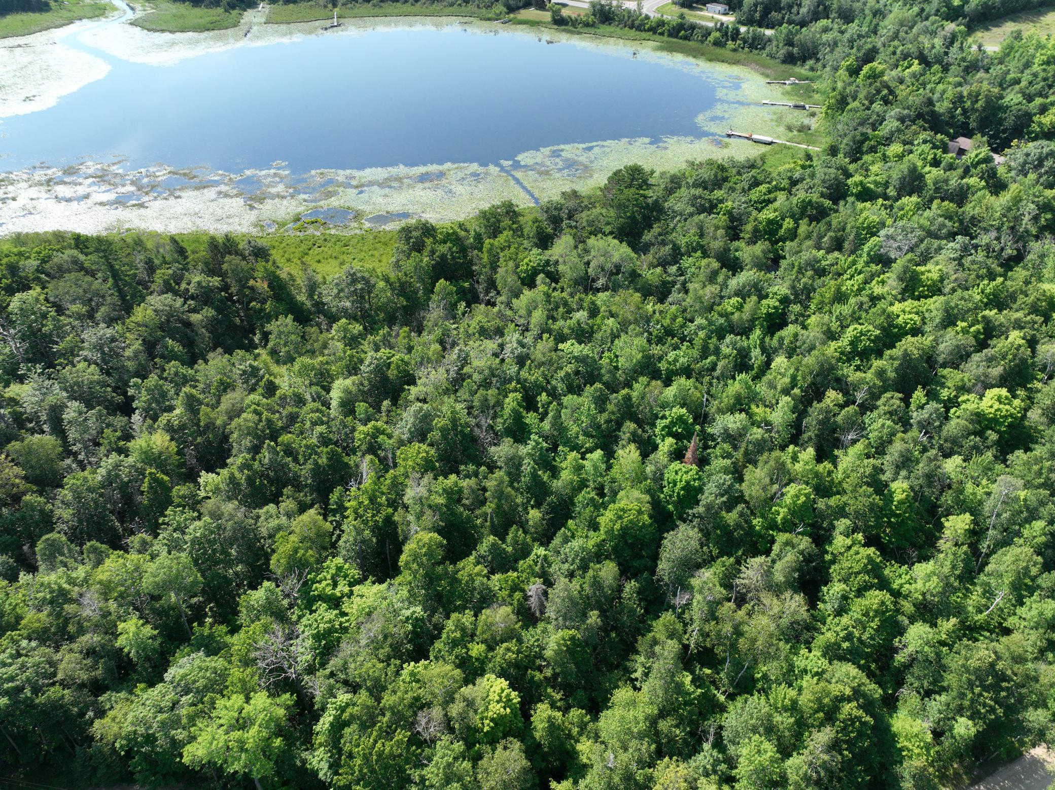 land for sale at TBD Hillerman Road NW in Hackensack, MN