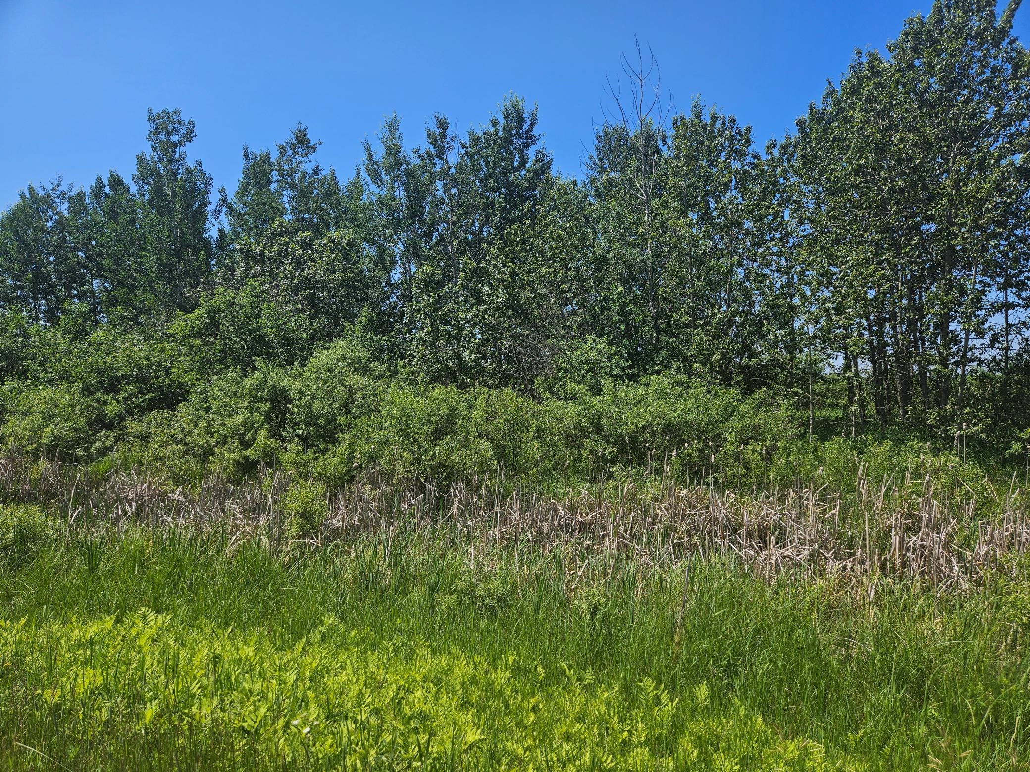 land for sale at xxx County Road 32 in Aitkin, MN