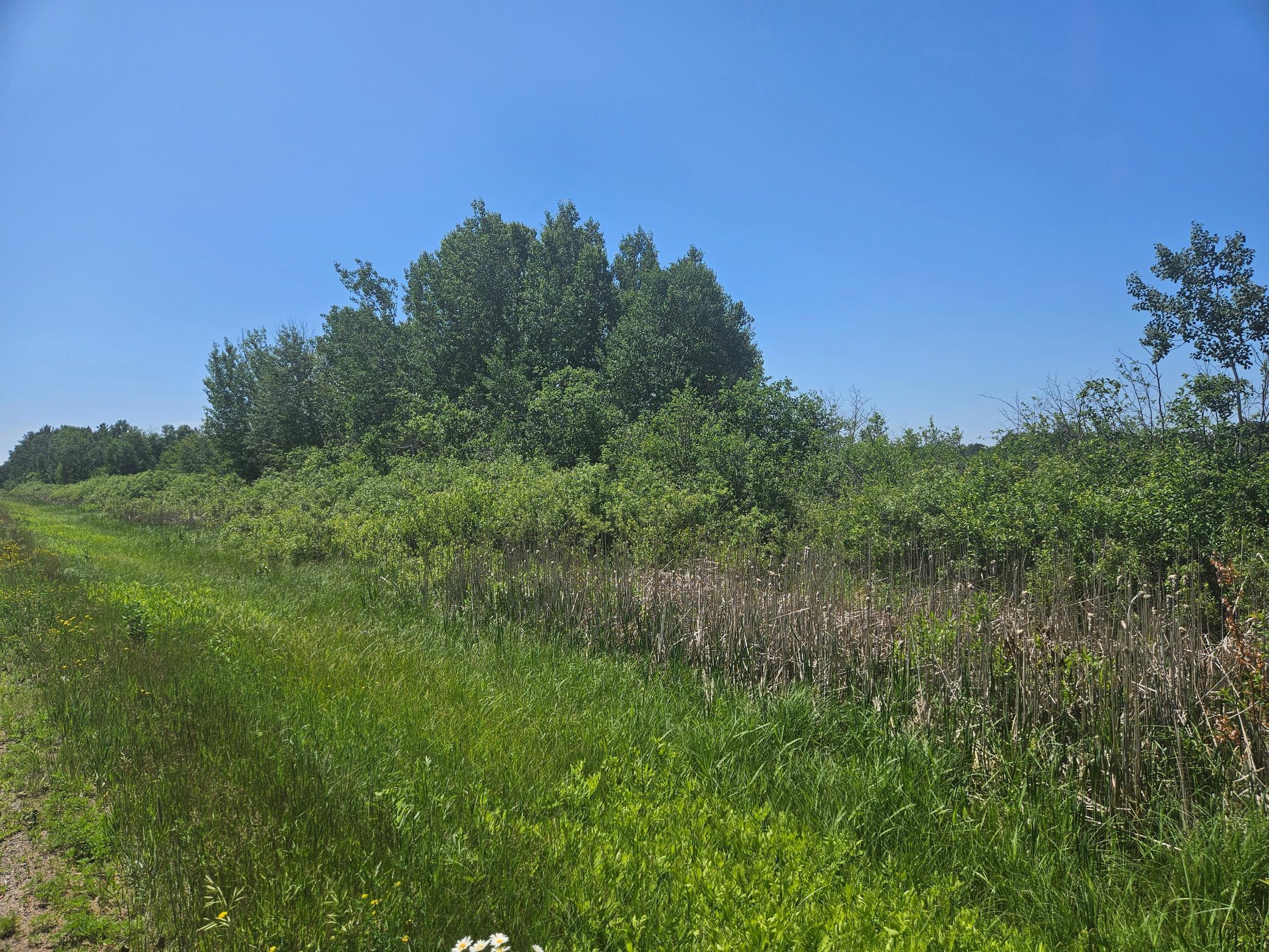 land for sale at xxx County Road 32 in Aitkin, MN (photo 2 of 6)