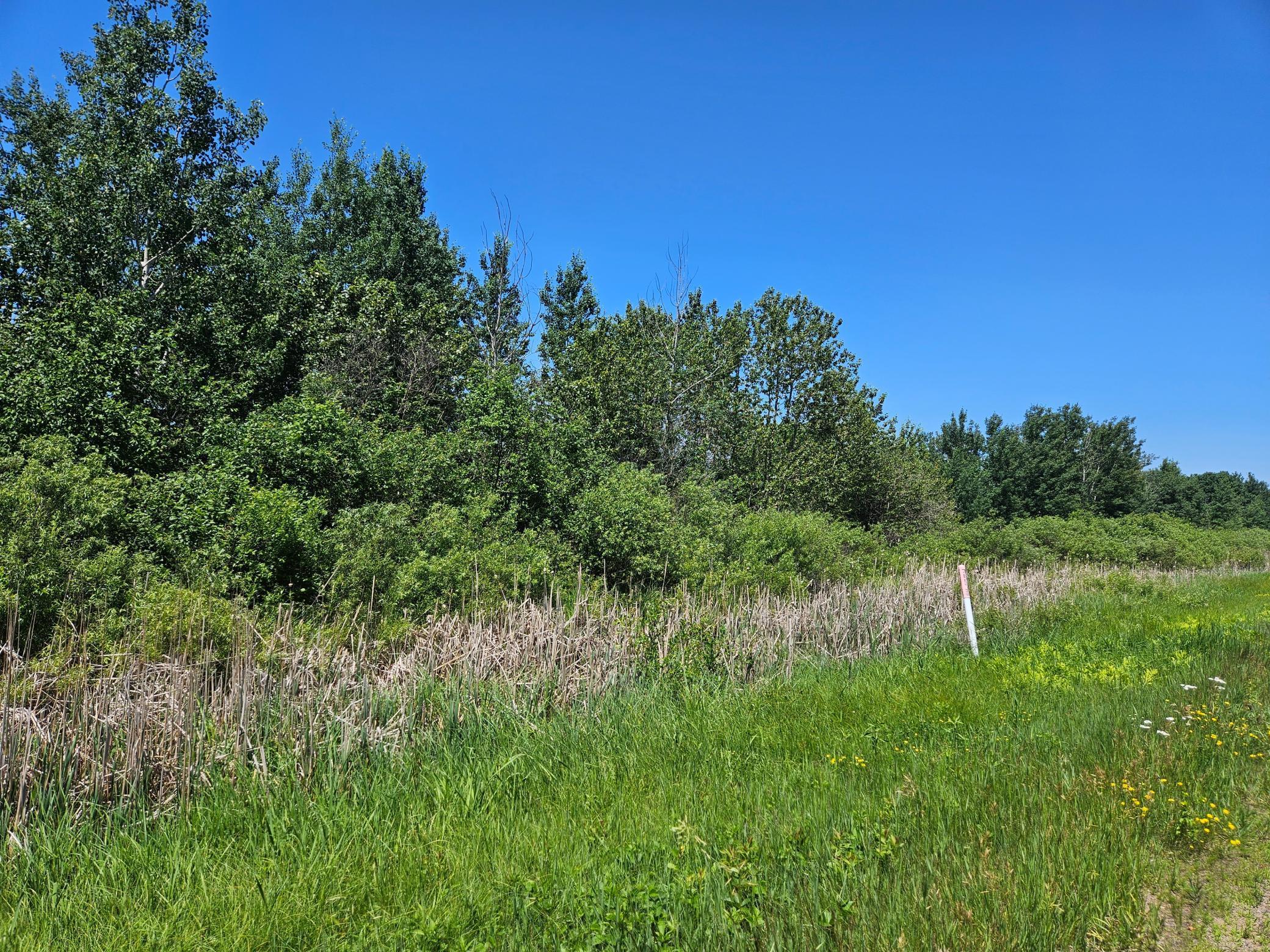 land for sale at xxx County Road 32 in Aitkin, MN (photo 3 of 6)