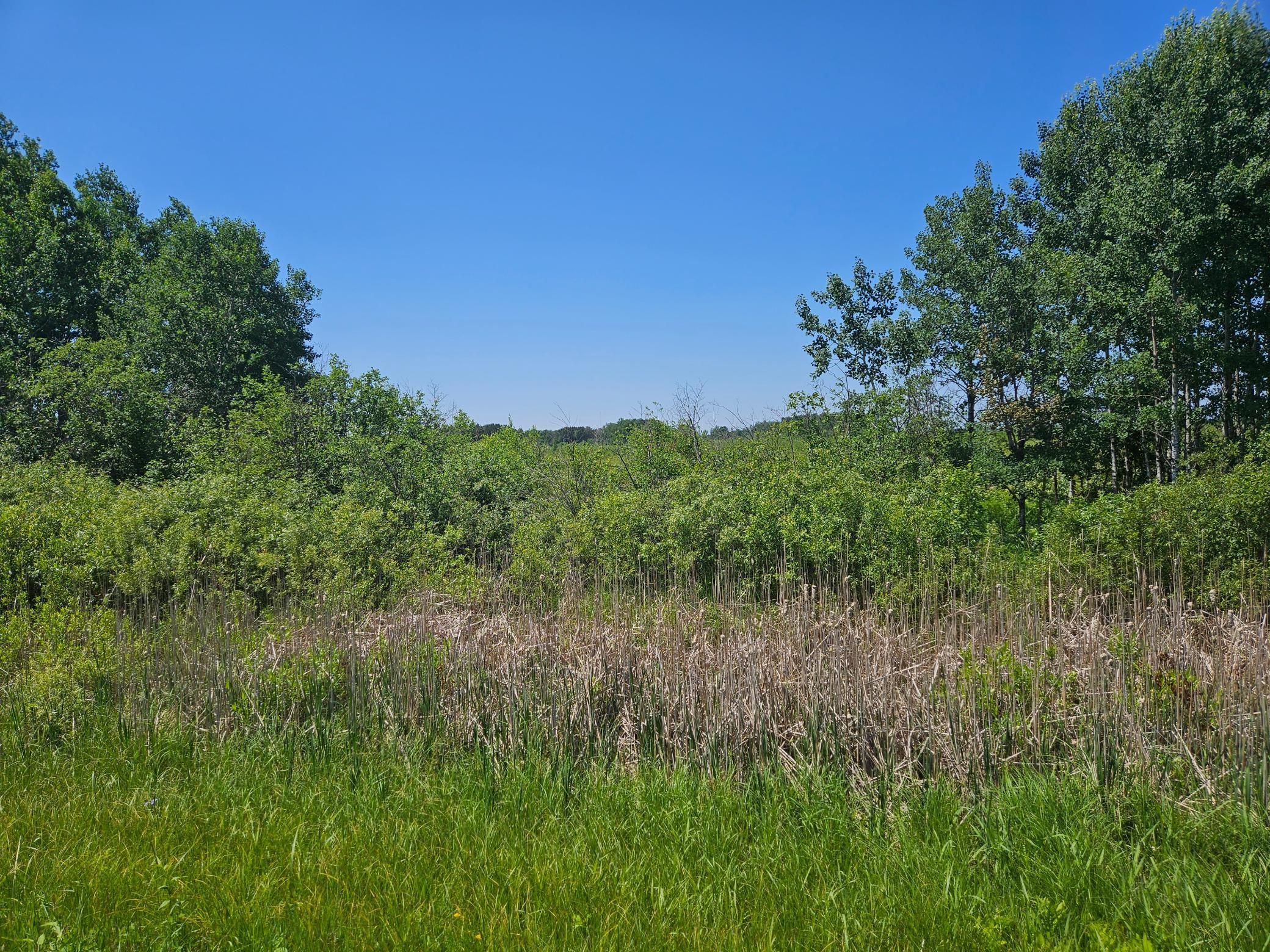 land for sale at xxx County Road 32 in Aitkin, MN (photo 4 of 6)