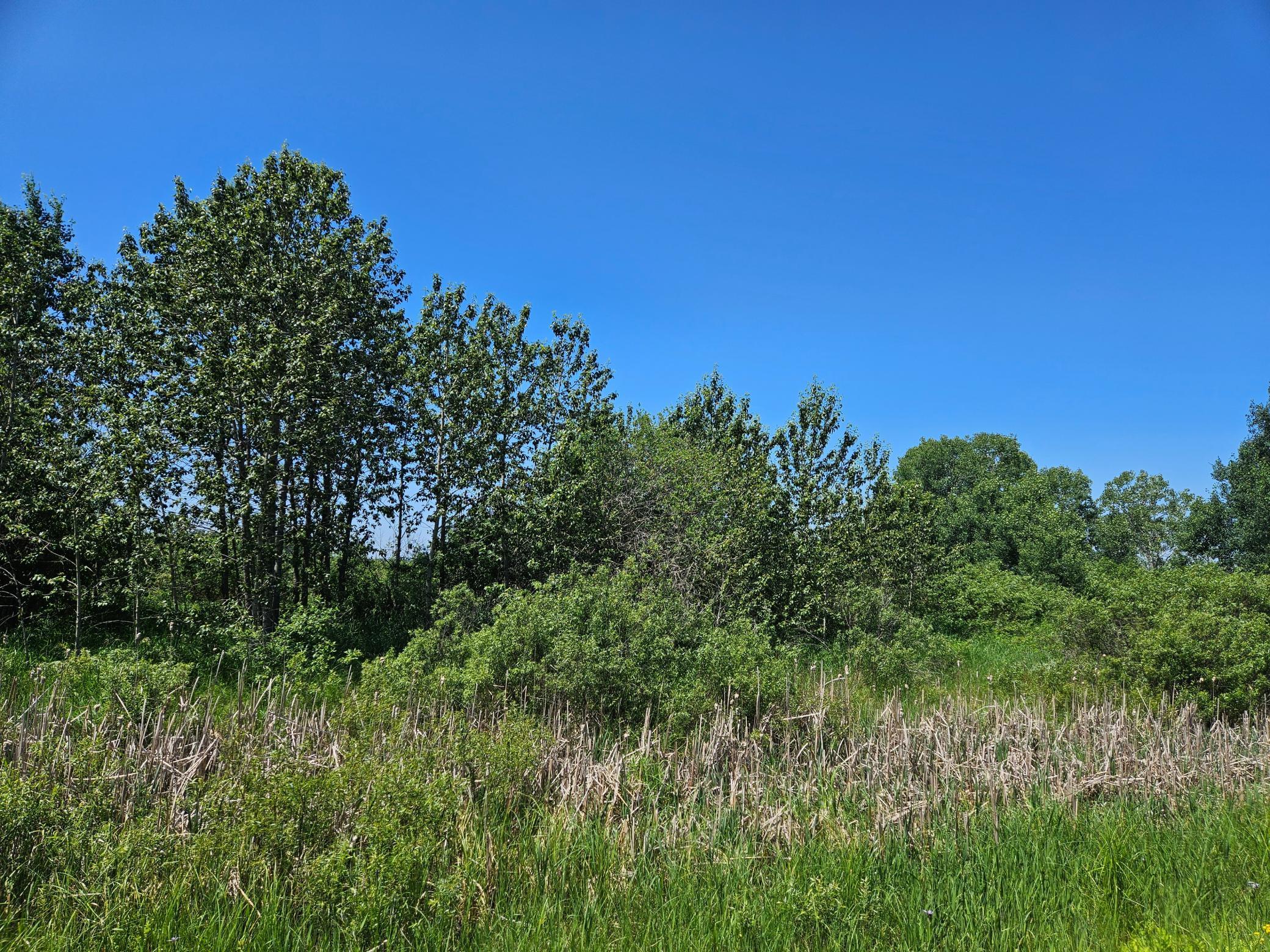 land for sale at xxx County Road 32 in Aitkin, MN (photo 5 of 6)