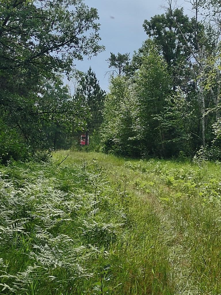 XXXX 159th Avenue, Sebeka MN 56477 - Photo 12 of 39
