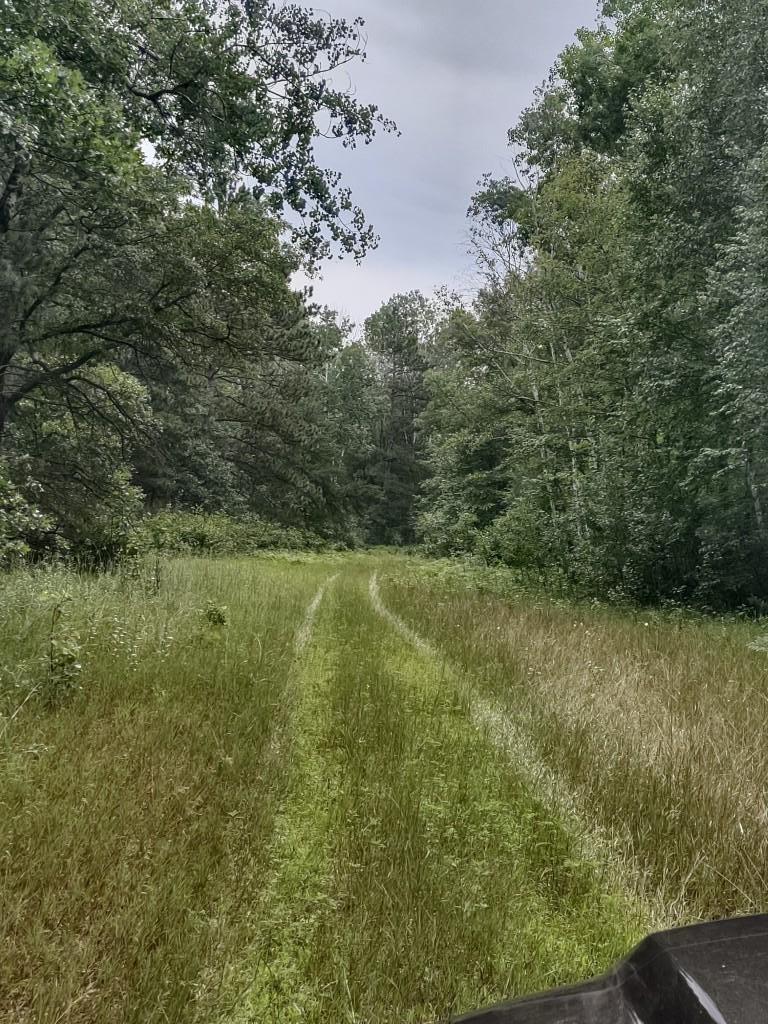 XXXX 159th Avenue, Sebeka MN 56477 - Photo 14 of 39