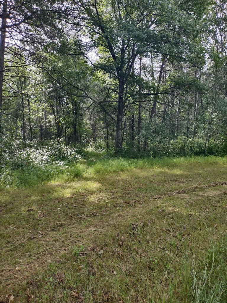 XXXX 159th Avenue, Sebeka MN 56477 - Photo 15 of 39