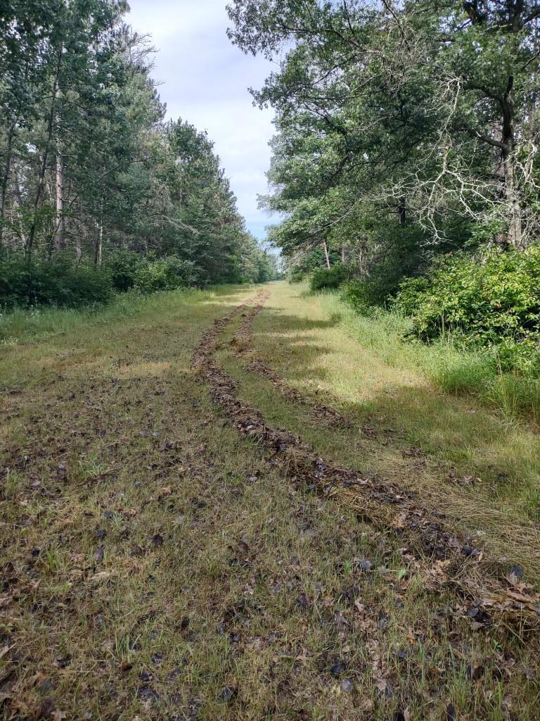 XXXX 159th Avenue, Sebeka MN 56477 - Photo 16 of 39