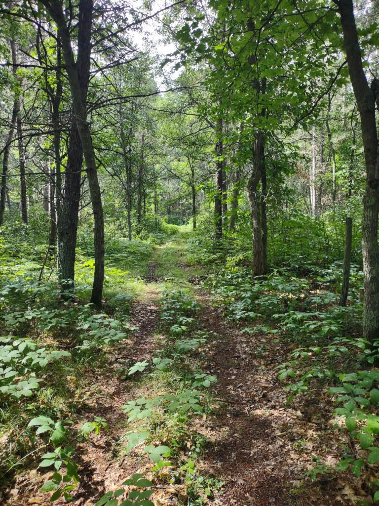 XXXX 159th Avenue, Sebeka MN 56477 - Photo 23 of 39