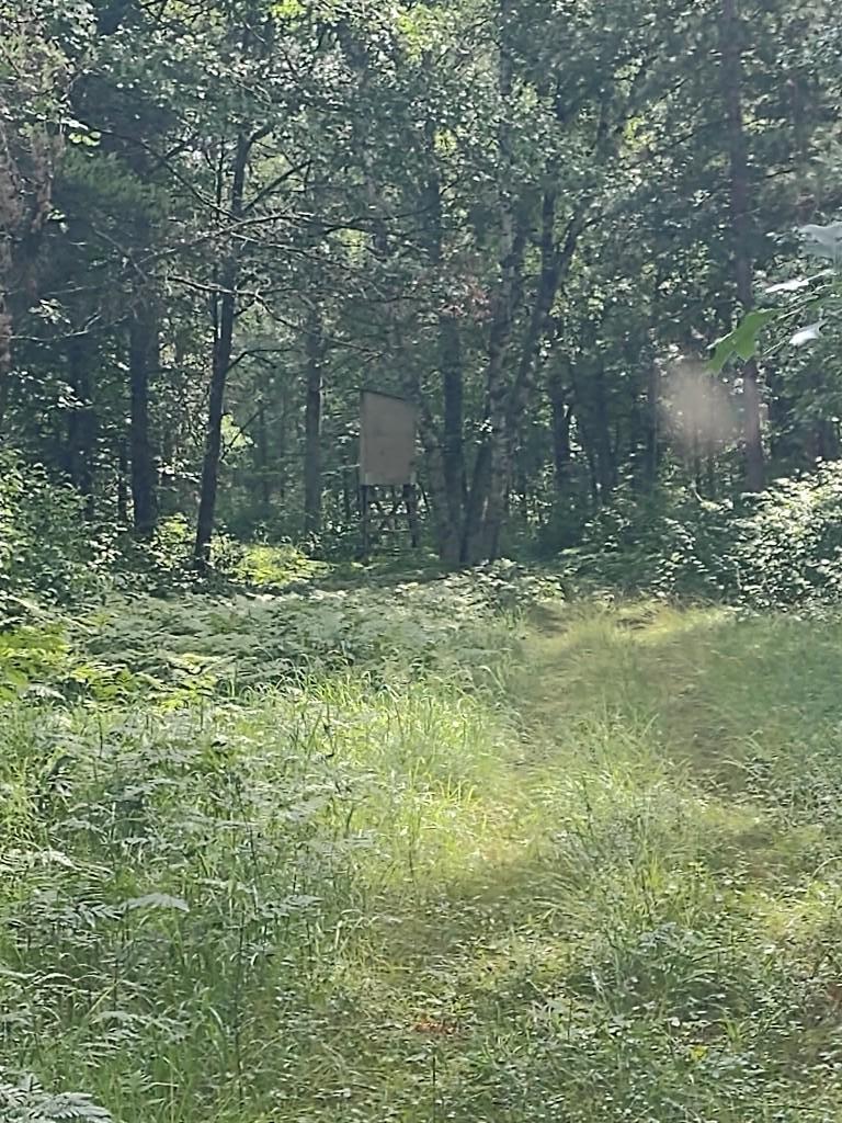 XXXX 159th Avenue, Sebeka MN 56477 - Photo 24 of 39