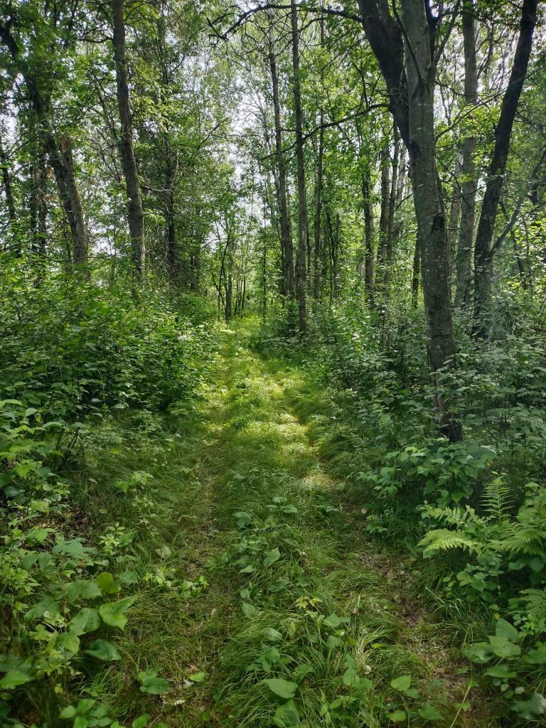 XXXX 159th Avenue, Sebeka MN 56477 - Photo 26 of 39