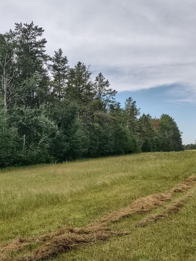 XXXX 159th Avenue, Sebeka MN 56477 - Photo 32 of 39