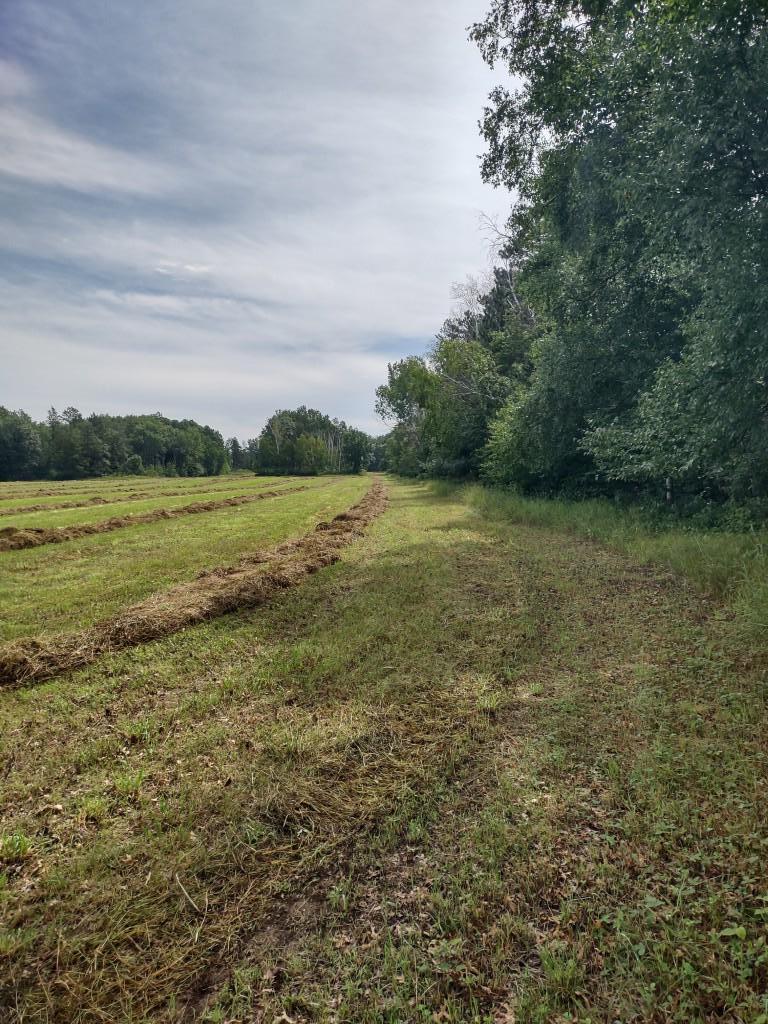 XXXX 159th Avenue, Sebeka MN 56477 - Photo 33 of 39