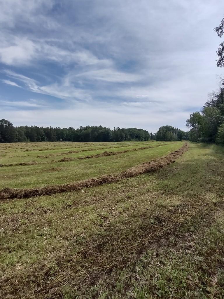 XXXX 159th Avenue, Sebeka MN 56477 - Photo 34 of 39