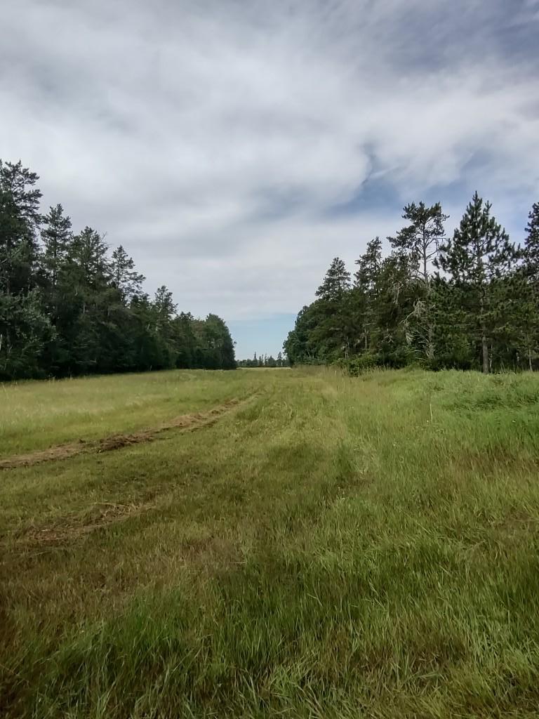 XXXX 159th Avenue, Sebeka MN 56477 - Photo 37 of 39