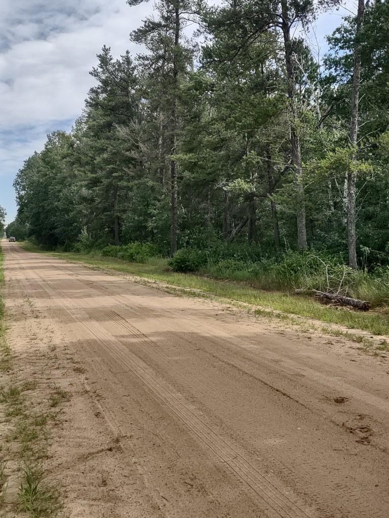 XXXX 159th Avenue, Sebeka MN 56477 - Photo 5 of 39