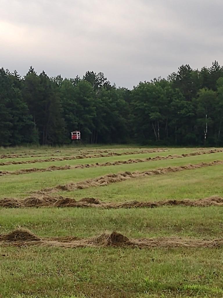 XXXX 159th Avenue, Sebeka MN 56477 - Photo 7 of 39