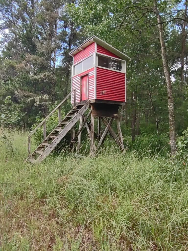XXXX 159th Avenue, Sebeka MN 56477 - Photo 8 of 39