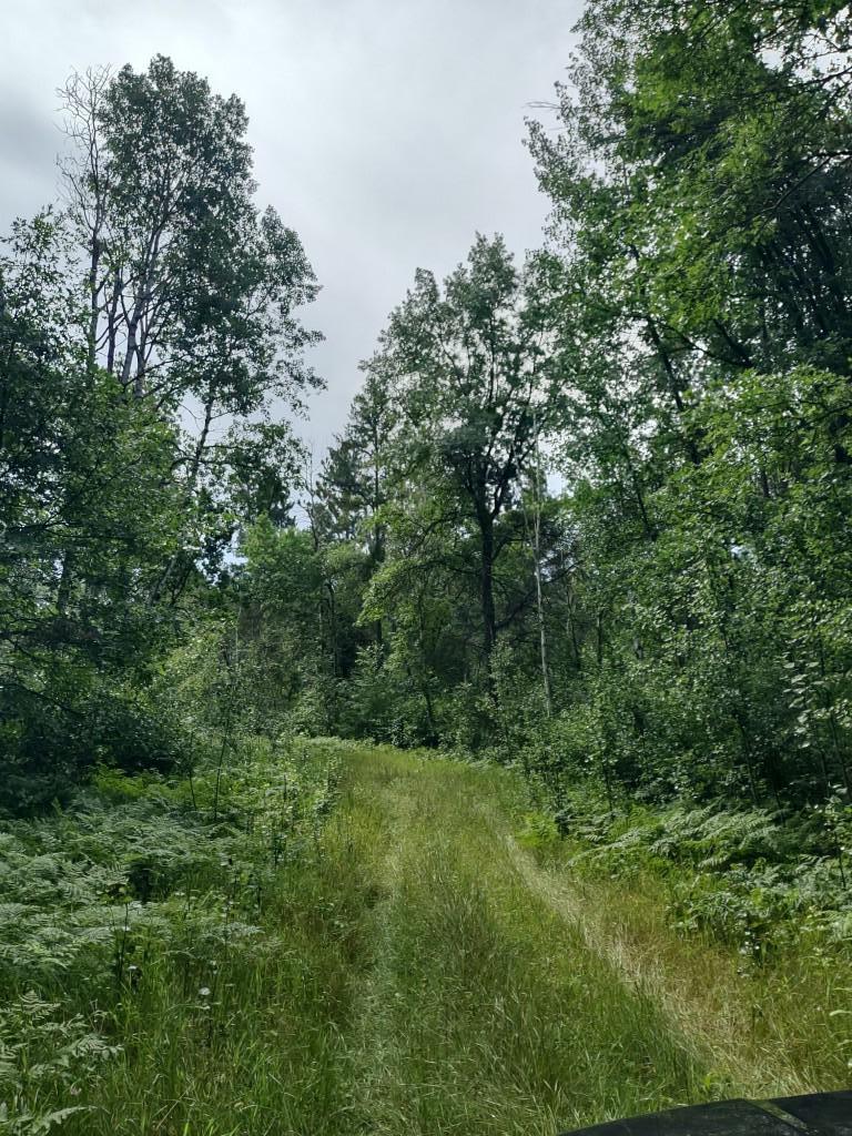 XXXX 159th Avenue, Sebeka MN 56477 - Photo 9 of 39