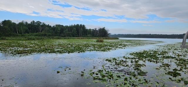 land for sale at XXXX Forthun Road in Baxter, MN