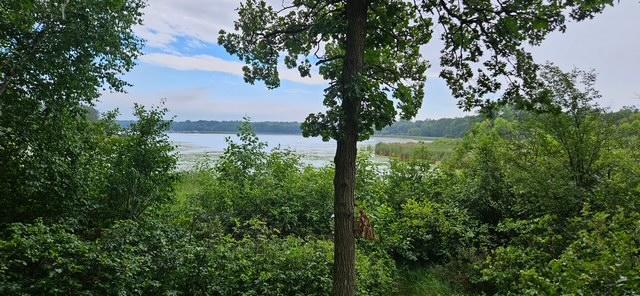 land for sale at XXXX Forthun Road in Baxter, MN (photo 3 of 16)