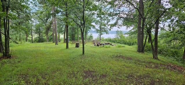 land for sale at XXXX Forthun Road in Baxter, MN (photo 4 of 16)