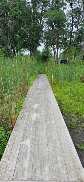 land for sale at XXXX Forthun Road in Baxter, MN (photo 10 of 16)