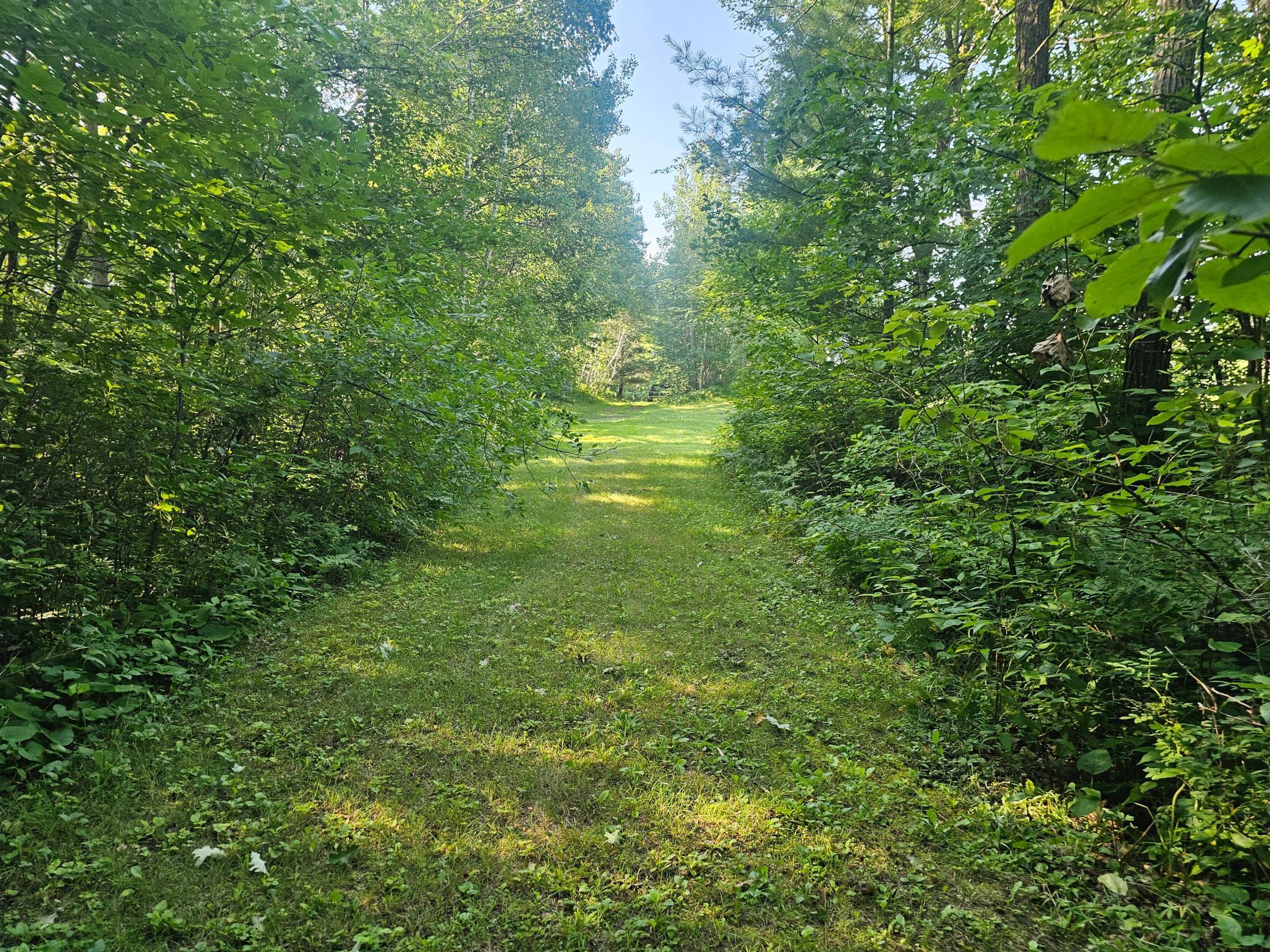 TBD Lot 2 Bunny Lane, Crosby MN 56441 - Photo 3 of 8