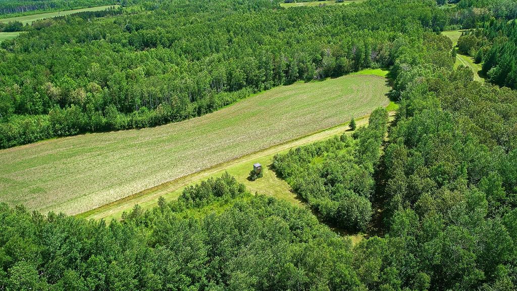 1990 single family home for sale at 2965 Bankton Road SW in Baudette, MN — 2 bed, 1 bath (photo 30 of 36)