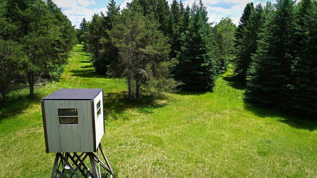 1990 single family home for sale at 2965 Bankton Road SW in Baudette, MN — 2 bed, 1 bath (photo 36 of 36)