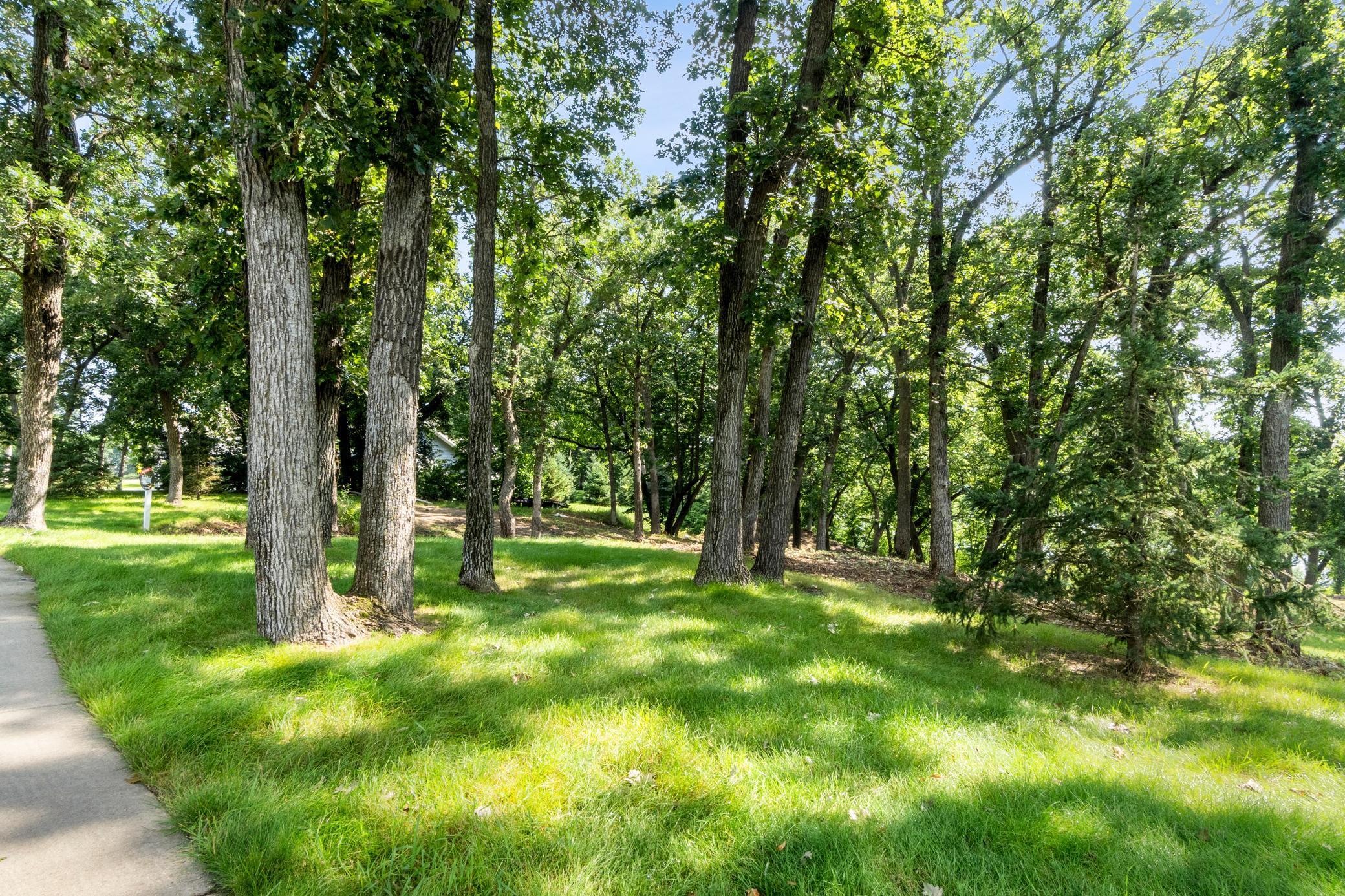 land for sale at 4033 Rosewood Lane SE in Alexandria, MN (photo 3 of 22)