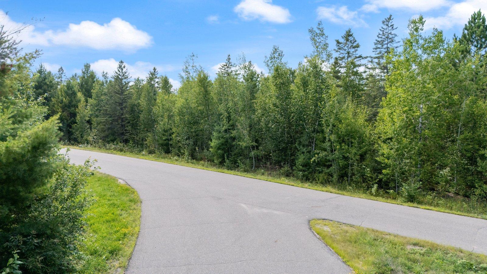 land for sale at TBD Lots 13 & 14 B2 Pine Tree Lane in Coleraine, MN (photo 7 of 11)