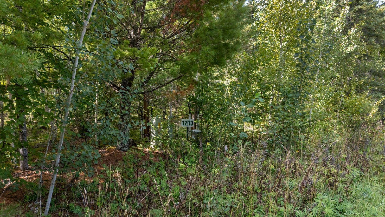 land for sale at TBD Lots 13 & 14 B2 Pine Tree Lane in Coleraine, MN (photo 9 of 11)