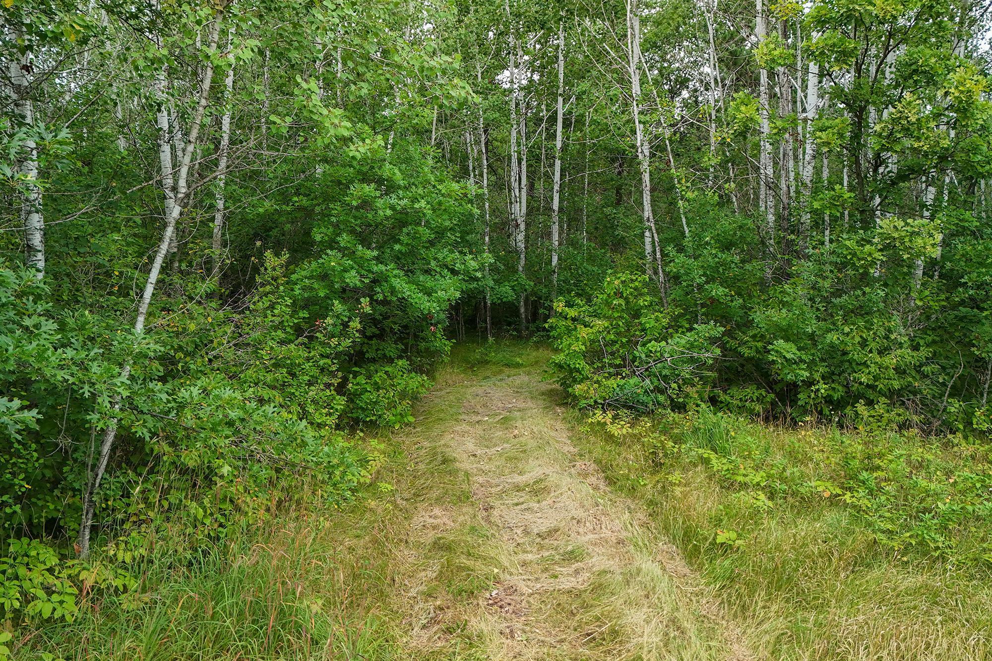 land for sale at 5415 Park Preserve Trail NE in Bemidji, MN (photo 2 of 11)