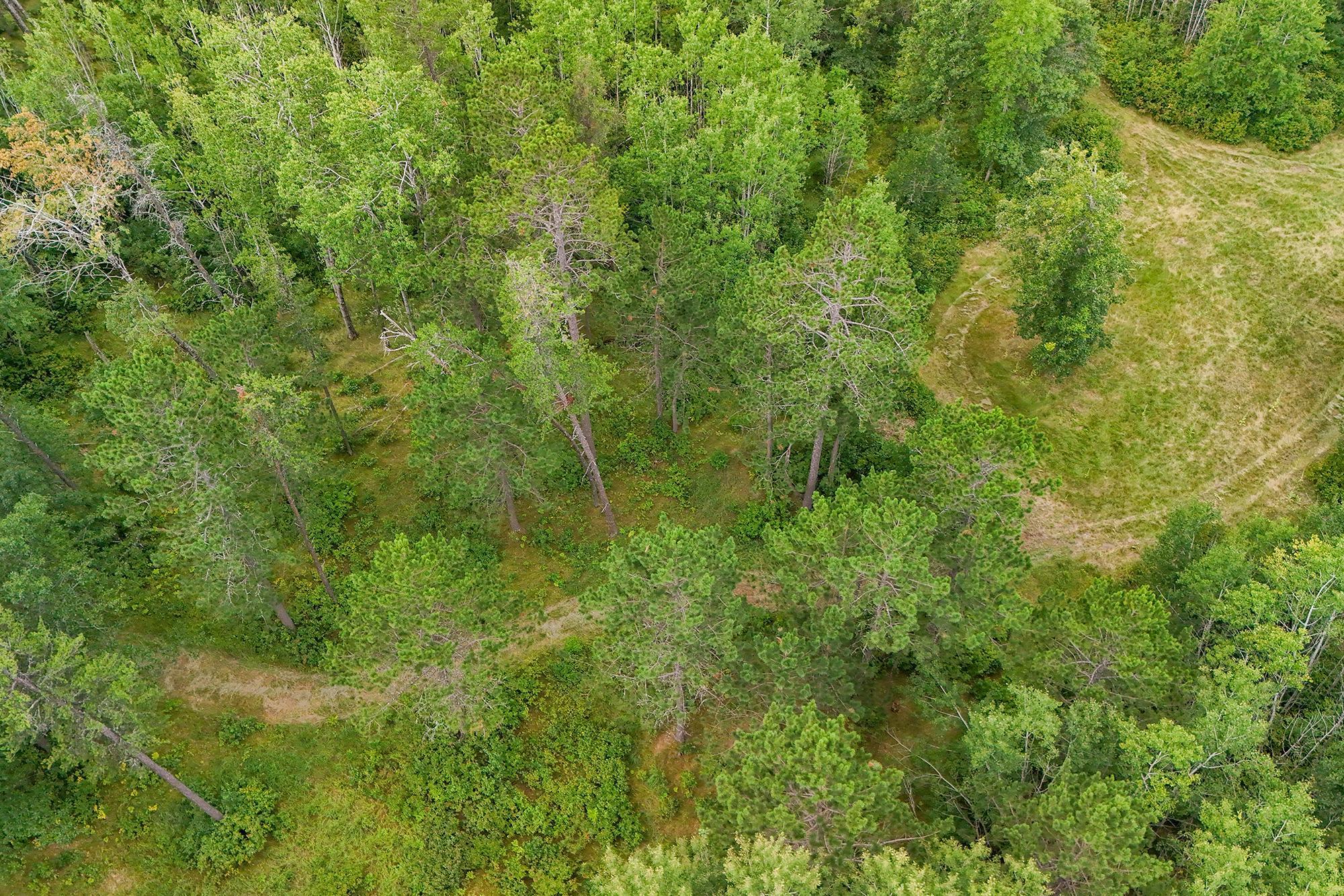 land for sale at 5415 Park Preserve Trail NE in Bemidji, MN (photo 4 of 11)