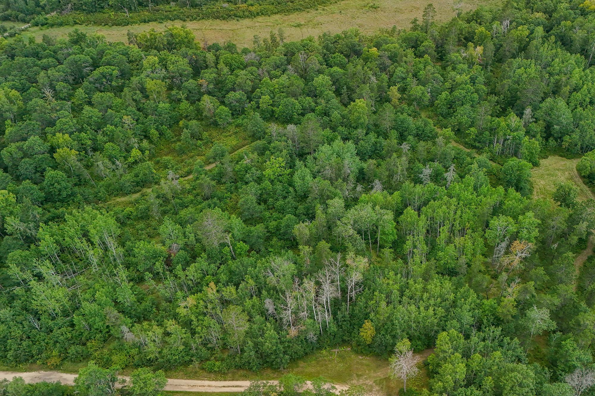land for sale at 5415 Park Preserve Trail NE in Bemidji, MN (photo 6 of 11)