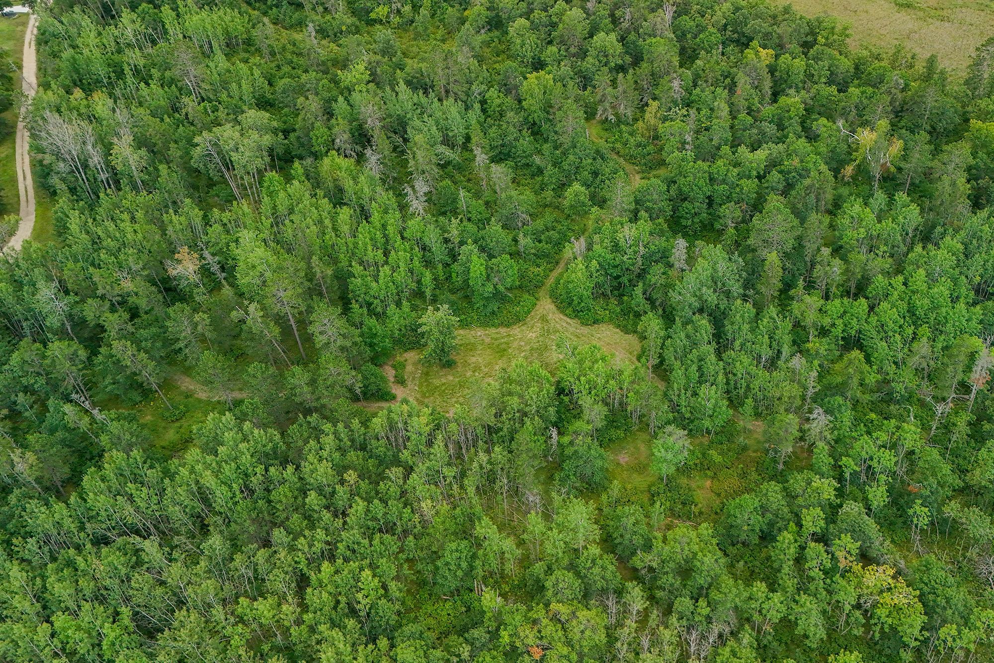 land for sale at 5415 Park Preserve Trail NE in Bemidji, MN (photo 8 of 11)