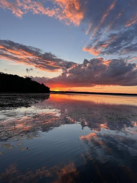 land for sale at 44308 Idas Road in Osage, MN (photo 18 of 21)