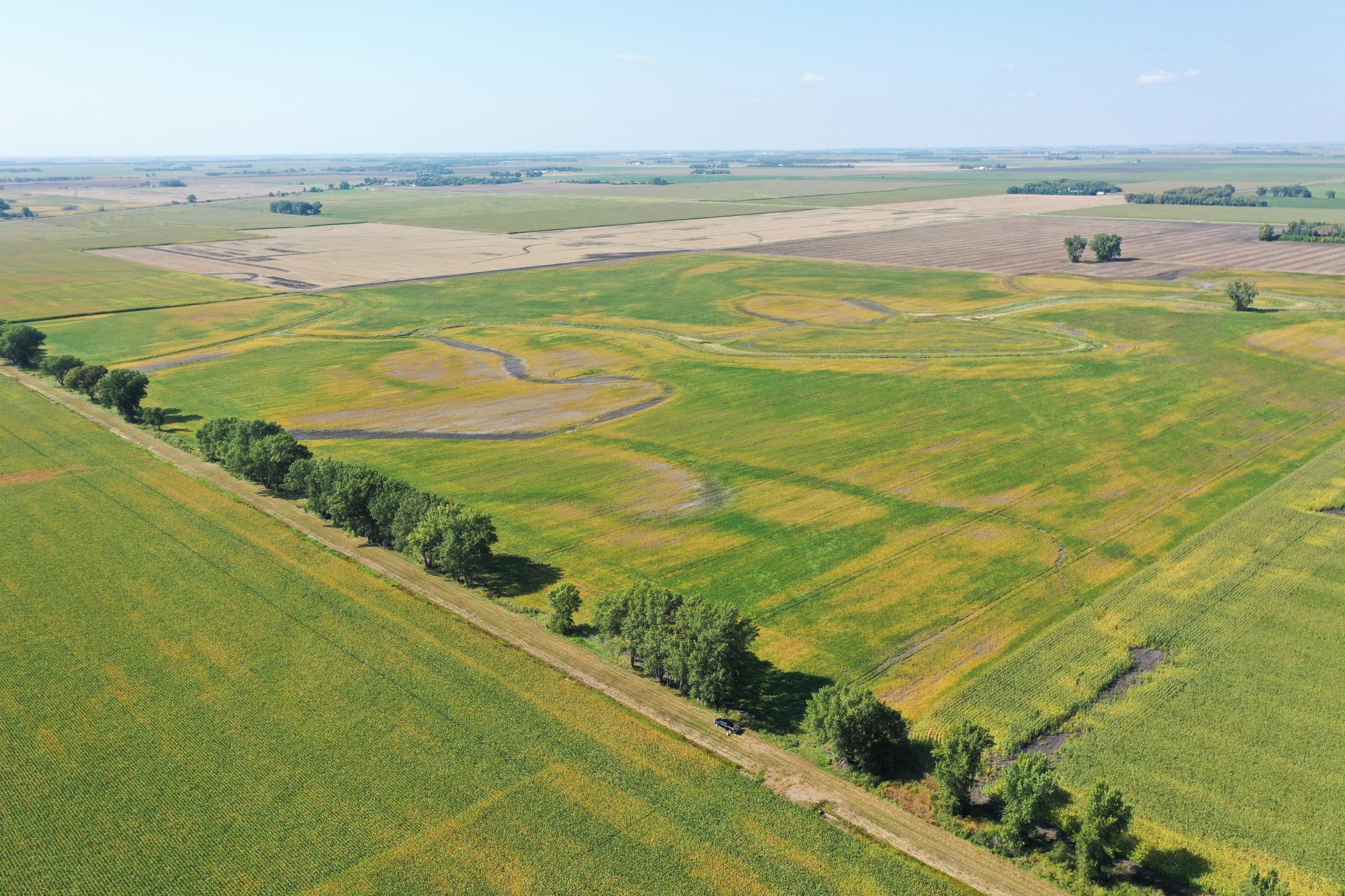 land for sale at TBD County 8 in Campbell, MN