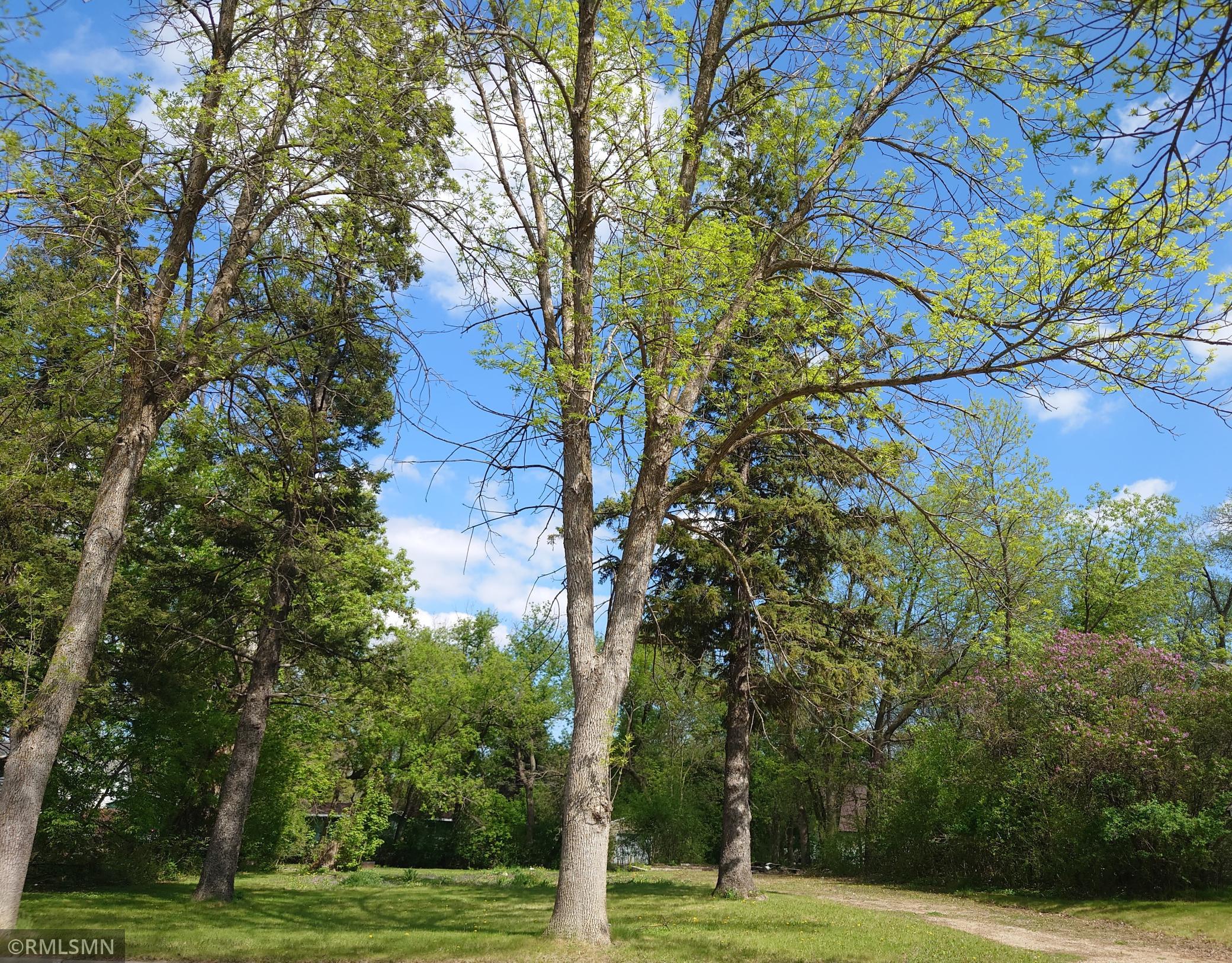 land for sale at 417 Park Street in Alexandria, MN (photo 2 of 14)