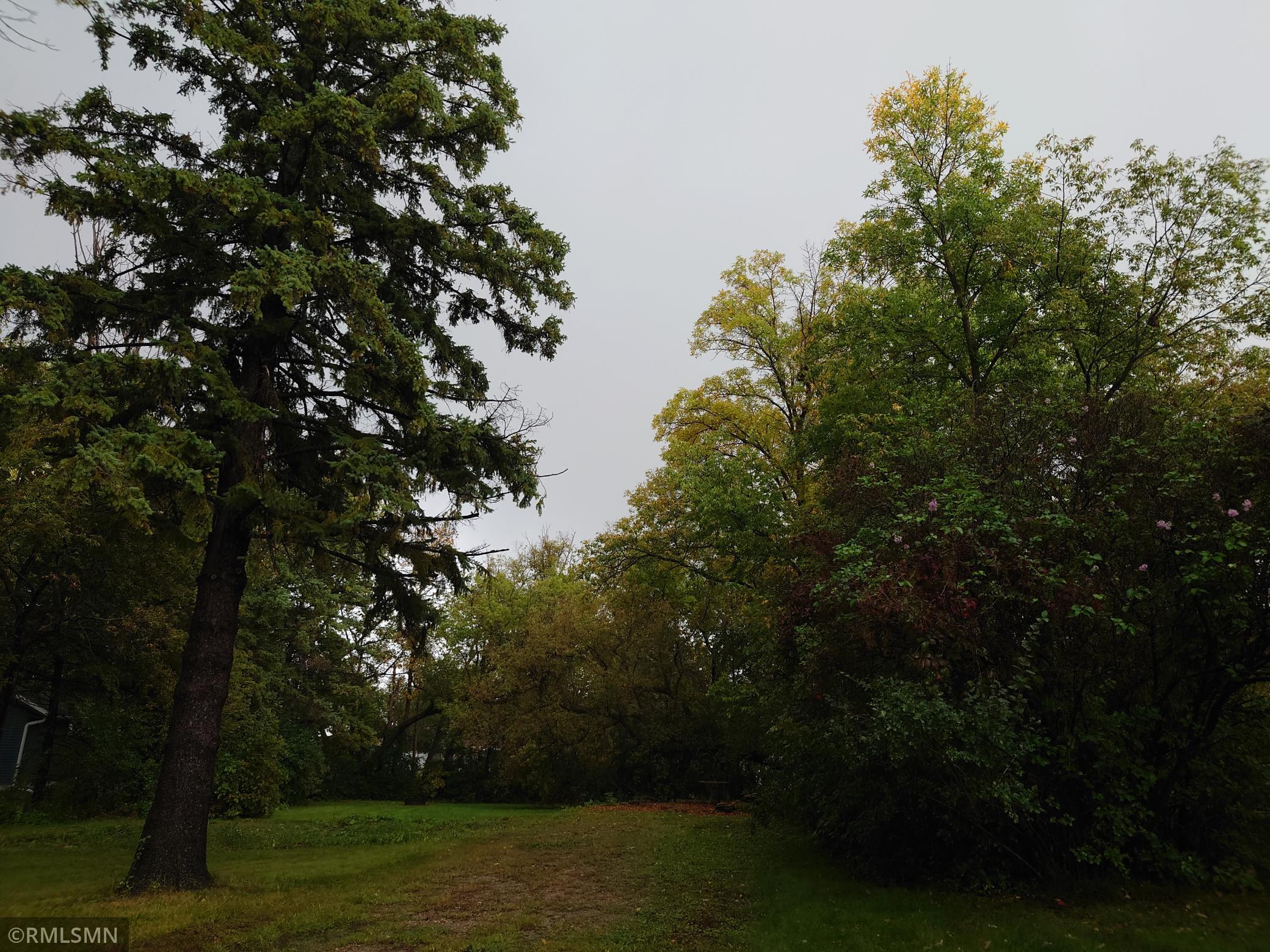 land for sale at 417 Park Street in Alexandria, MN (photo 5 of 14)
