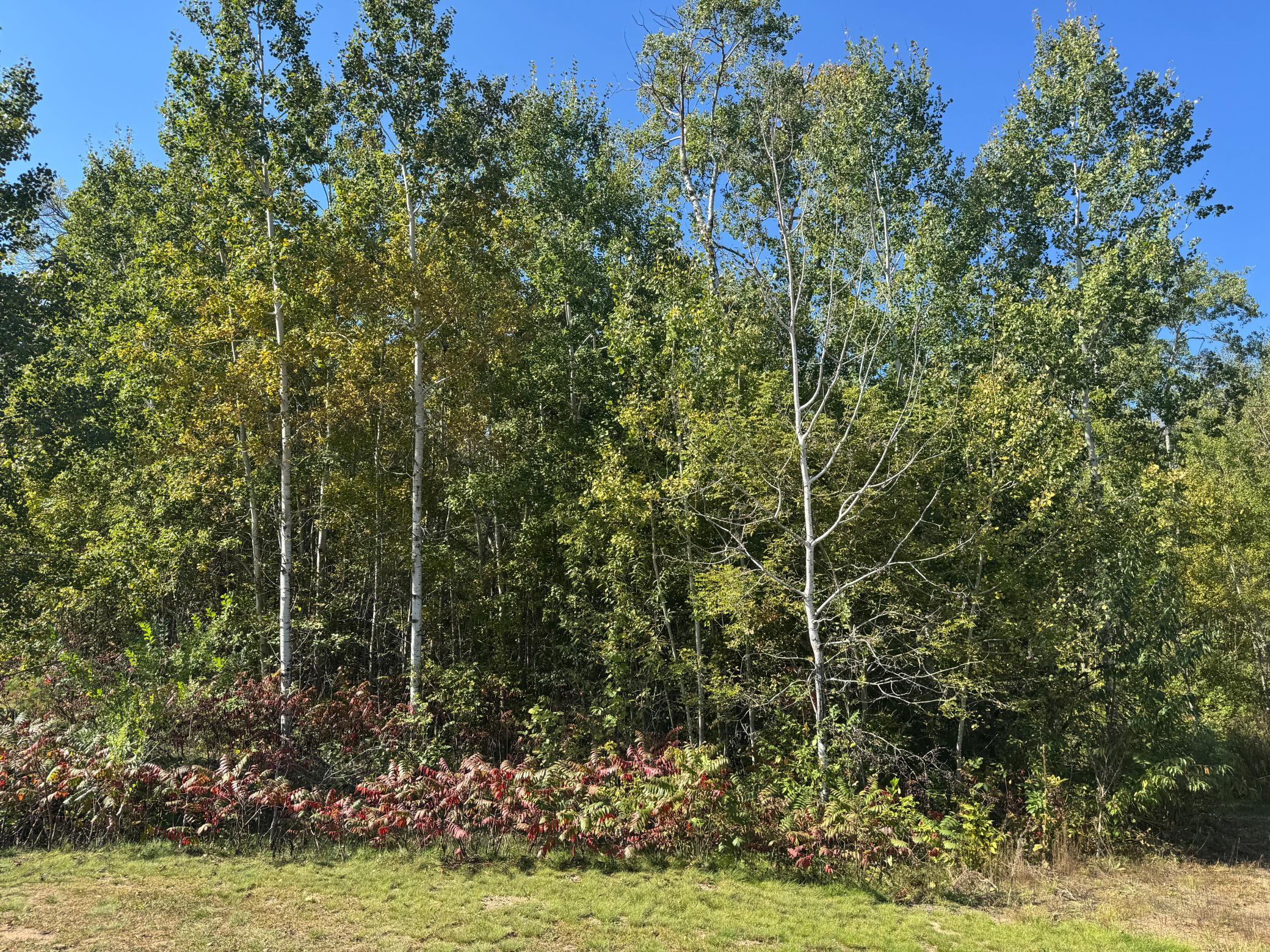 TBD 377th Street, Perham MN 56573 - Photo 7 of 11