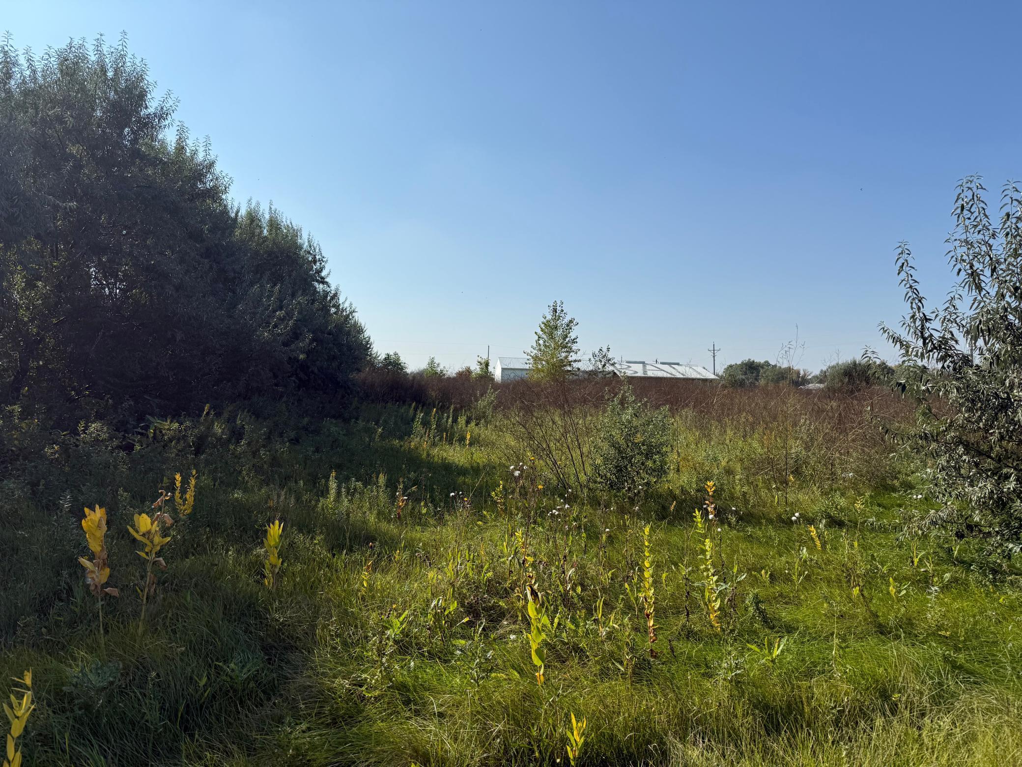 6655 US 10 Highway, Glyndon MN 56547 - Photo 8 of 12