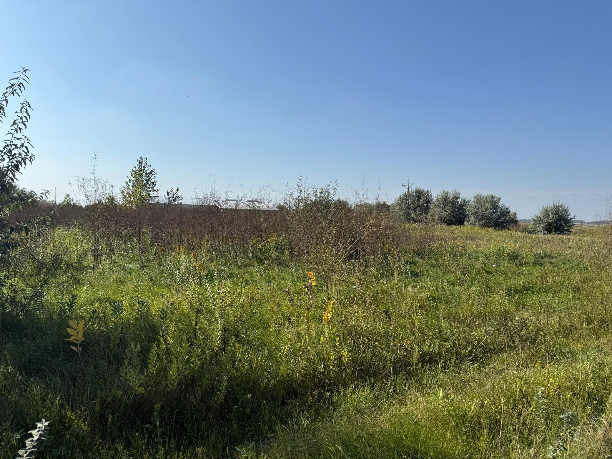 6655 US 10 Highway, Glyndon MN 56547 - Photo 9 of 12