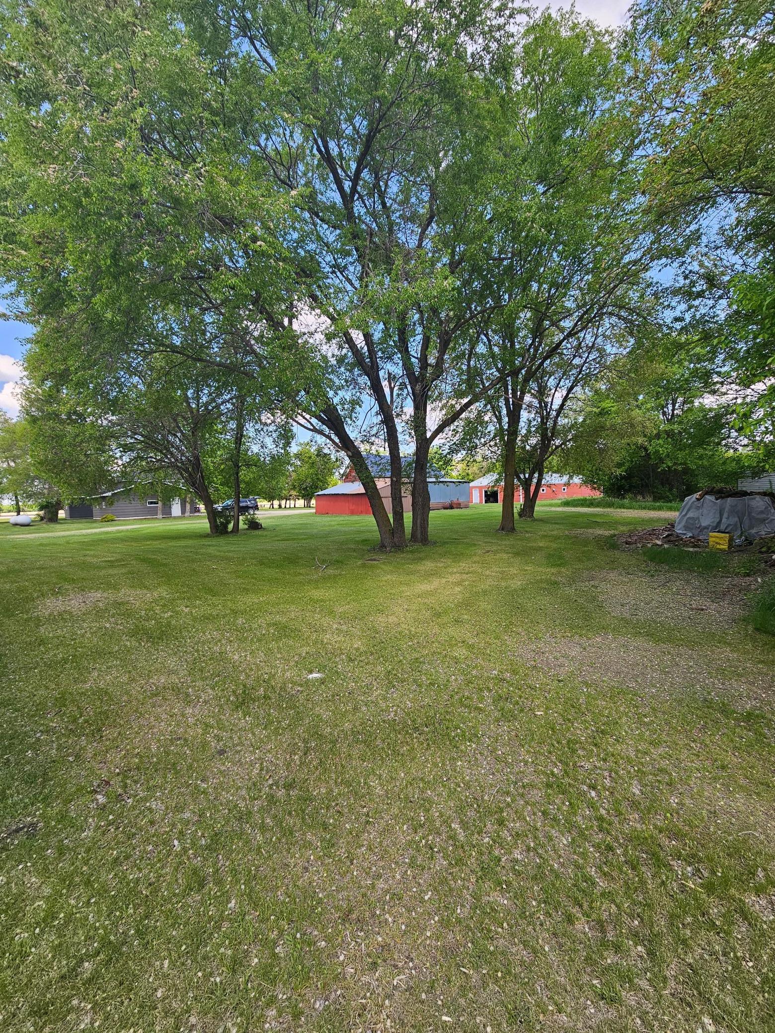 23304 State Hwy 29, Henning MN 56551 - Photo 44 of 86